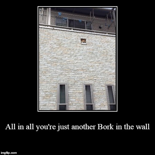 Apologies to Pink Floyd. | image tagged in funny,demotivationals,memes,dog | made w/ Imgflip demotivational maker