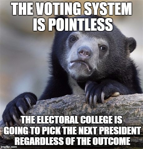Confession Bear Meme | THE VOTING SYSTEM IS POINTLESS; THE ELECTORAL COLLEGE IS GOING TO PICK THE NEXT PRESIDENT REGARDLESS OF THE OUTCOME | image tagged in memes,confession bear | made w/ Imgflip meme maker