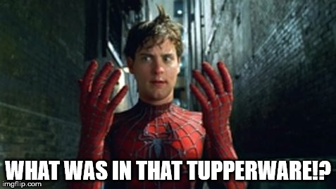 Spiderman - What Did I Touch? | WHAT WAS IN THAT TUPPERWARE!? | image tagged in spiderman - what did i touch | made w/ Imgflip meme maker