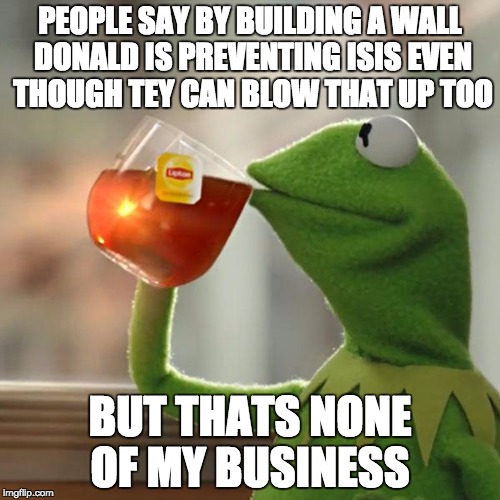 But That's None Of My Business Meme | PEOPLE SAY BY BUILDING A WALL DONALD IS PREVENTING ISIS EVEN THOUGH TEY CAN BLOW THAT UP TOO; BUT THATS NONE OF MY BUSINESS | image tagged in memes,but thats none of my business,kermit the frog | made w/ Imgflip meme maker