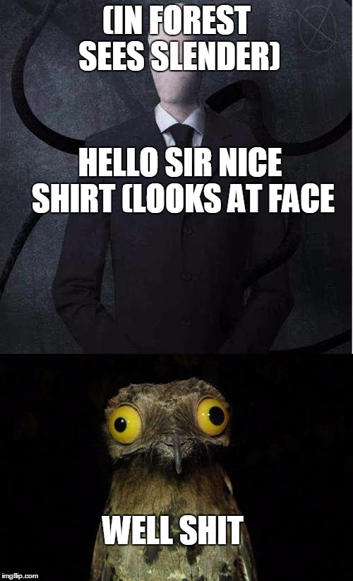 #that would be me | (IN FOREST SEES SLENDER); HELLO SIR NICE SHIRT (LOOKS AT FACE; WELL SHIT | image tagged in derp | made w/ Imgflip meme maker