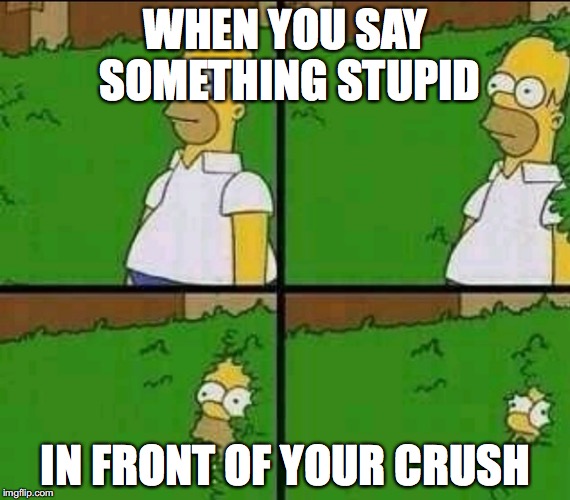 So much nope | WHEN YOU SAY SOMETHING STUPID; IN FRONT OF YOUR CRUSH | image tagged in homer simpson nope,crush,stupid | made w/ Imgflip meme maker