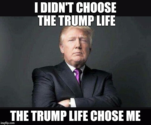 The trump life | I DIDN'T CHOOSE THE TRUMP LIFE; THE TRUMP LIFE CHOSE ME | image tagged in donaldtrump,trump 2016,thug life | made w/ Imgflip meme maker