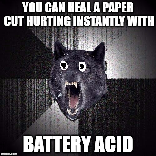 Malicious Advice Wolf | YOU CAN HEAL A PAPER CUT HURTING INSTANTLY WITH; BATTERY ACID | image tagged in malicious advice wolf | made w/ Imgflip meme maker