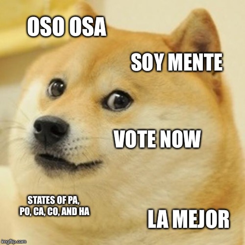 Doge Meme | OSO OSA SOY MENTE VOTE NOW STATES OF PA, PO, CA, CO, AND HA LA MEJOR | image tagged in memes,doge | made w/ Imgflip meme maker