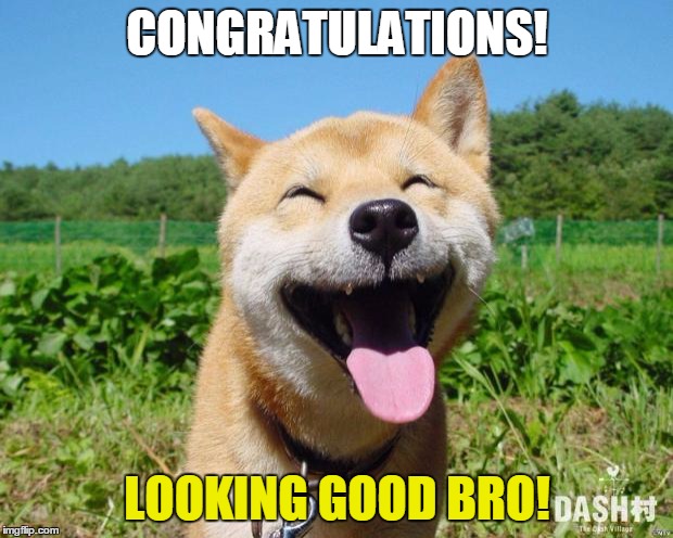 Happy Dog | CONGRATULATIONS! LOOKING GOOD BRO! | image tagged in happy dog | made w/ Imgflip meme maker