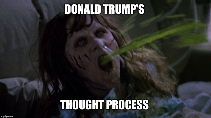 Trump Thought Process | DONALD TRUMP'S; THOUGHT PROCESS | image tagged in donald trump | made w/ Imgflip meme maker