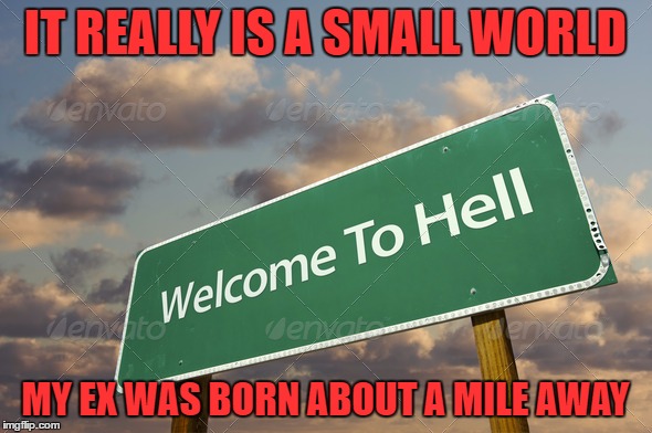 IT REALLY IS A SMALL WORLD MY EX WAS BORN ABOUT A MILE AWAY | made w/ Imgflip meme maker