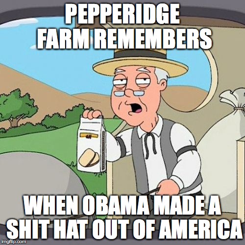 Pepperidge Farm Remembers Meme | PEPPERIDGE FARM REMEMBERS; WHEN OBAMA MADE A SHIT HAT OUT OF AMERICA | image tagged in memes,pepperidge farm remembers | made w/ Imgflip meme maker