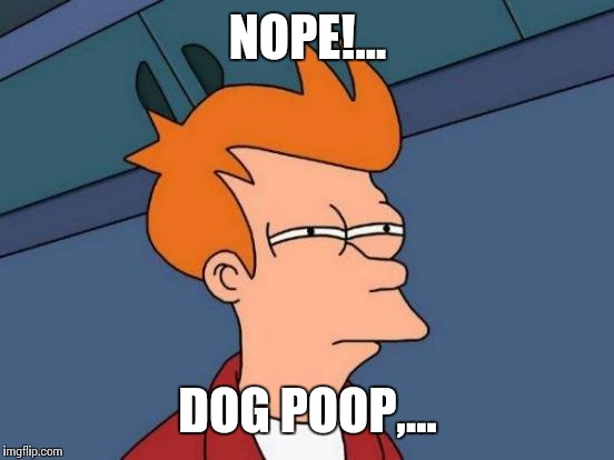 Futurama Fry Meme | NOPE!... DOG POOP,... | image tagged in memes,futurama fry | made w/ Imgflip meme maker