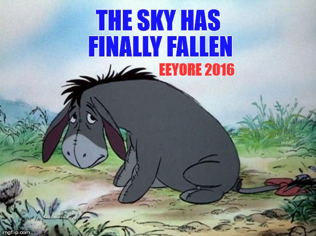 eeyore | THE SKY HAS FINALLY FALLEN; EEYORE 2016 | image tagged in eeyore | made w/ Imgflip meme maker