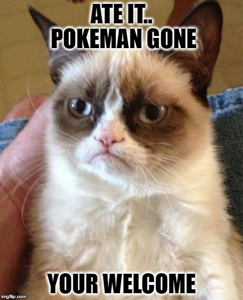 Grumpy Cat | ATE IT.. POKEMAN GONE; YOUR WELCOME | image tagged in memes,grumpy cat | made w/ Imgflip meme maker