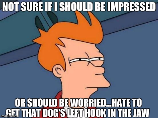 Futurama Fry Meme | NOT SURE IF I SHOULD BE IMPRESSED OR SHOULD BE WORRIED...HATE TO GET THAT DOG'S LEFT HOOK IN THE JAW | image tagged in memes,futurama fry | made w/ Imgflip meme maker