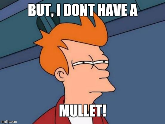 Futurama Fry Meme | BUT, I DONT HAVE A MULLET! | image tagged in memes,futurama fry | made w/ Imgflip meme maker