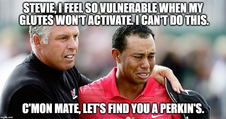 Tiger is vulnerable when his glutes won't activate. | STEVIE, I FEEL SO VULNERABLE WHEN MY GLUTES WON'T ACTIVATE. I CAN'T DO THIS. C'MON MATE, LET'S FIND YOU A PERKIN'S. | image tagged in tiger woods,golf,pga tour,glutes,vulnerable,steve williams | made w/ Imgflip meme maker