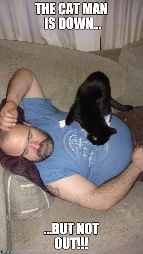 THE CAT MAN IS DOWN... ...BUT NOT OUT!!! | image tagged in cats | made w/ Imgflip meme maker