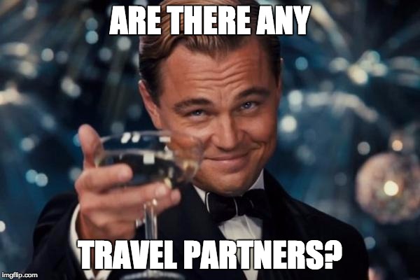 Leonardo Dicaprio Cheers Meme | ARE THERE ANY; TRAVEL PARTNERS? | image tagged in memes,leonardo dicaprio cheers | made w/ Imgflip meme maker