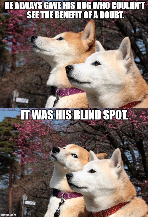 Bad pun dogs | HE ALWAYS GAVE HIS DOG WHO COULDN'T SEE THE BENEFIT OF A DOUBT. IT WAS HIS BLIND SPOT. | image tagged in bad pun dogs | made w/ Imgflip meme maker