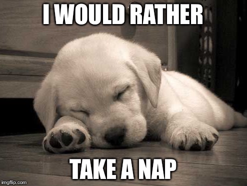 Sleeping Puppy | I WOULD RATHER; TAKE A NAP | image tagged in sleeping puppy | made w/ Imgflip meme maker