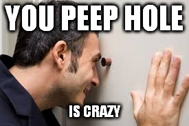 my peeps | YOU PEEP HOLE; IS CRAZY | image tagged in funny,bad pun | made w/ Imgflip meme maker