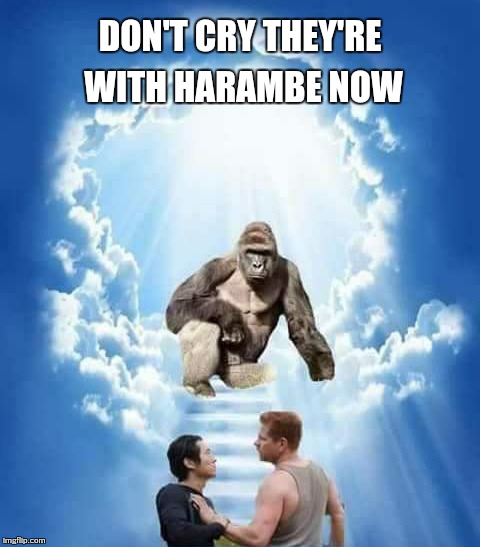 DON'T CRY THEY'RE WITH HARAMBE NOW | image tagged in the walking dead,walking dead,dark humor,funny | made w/ Imgflip meme maker