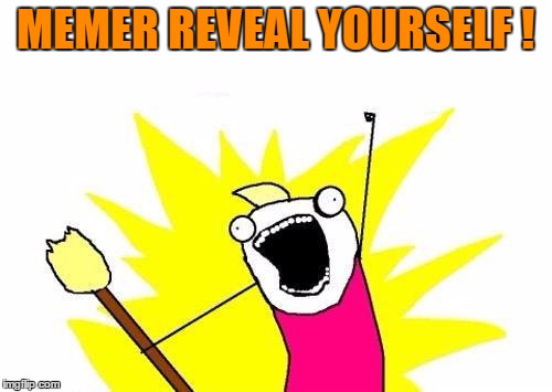 X All The Y Meme | MEMER REVEAL YOURSELF ! | image tagged in memes,x all the y | made w/ Imgflip meme maker