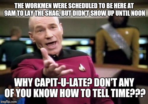 Picard Wtf Meme | THE WORKMEN WERE SCHEDULED TO BE HERE AT 9AM TO LAY THE SHAG, BUT DIDN'T SHOW UP UNTIL NOON WHY CAPIT-U-LATE? DON'T ANY OF YOU KNOW HOW TO T | image tagged in memes,picard wtf | made w/ Imgflip meme maker