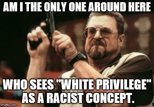Am I The Only One Around Here Meme | AM I THE ONLY ONE AROUND HERE; WHO SEES "WHITE PRIVILEGE" AS A RACIST CONCEPT. | image tagged in memes,am i the only one around here | made w/ Imgflip meme maker
