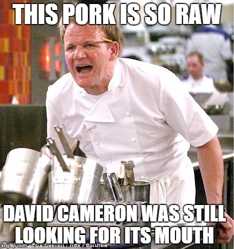 Chef Gordon Ramsay | THIS PORK IS SO RAW; DAVID CAMERON WAS STILL LOOKING FOR ITS MOUTH | image tagged in memes,chef gordon ramsay,david cameron,pig | made w/ Imgflip meme maker
