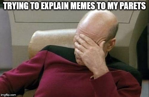 Captain Picard Facepalm | TRYING TO EXPLAIN MEMES TO MY PARETS | image tagged in memes,captain picard facepalm | made w/ Imgflip meme maker