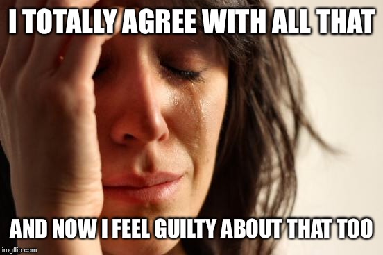 First World Problems Meme | I TOTALLY AGREE WITH ALL THAT AND NOW I FEEL GUILTY ABOUT THAT TOO | image tagged in memes,first world problems | made w/ Imgflip meme maker
