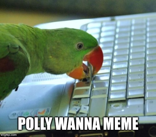 POLLY WANNA MEME | made w/ Imgflip meme maker