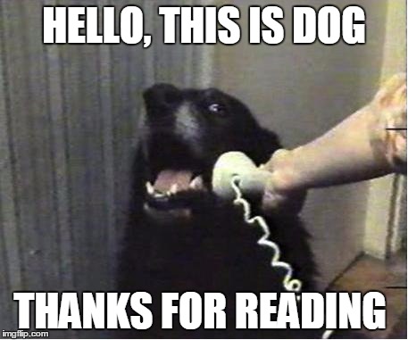 Yes this is dog | HELLO, THIS IS DOG; THANKS FOR READING | image tagged in yes this is dog | made w/ Imgflip meme maker