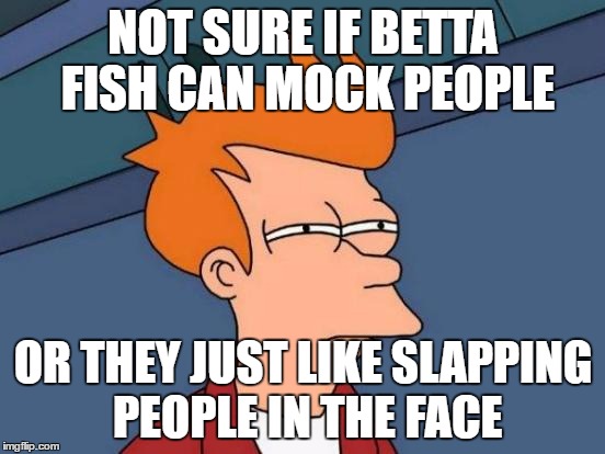 Futurama Fry | NOT SURE IF BETTA FISH CAN MOCK PEOPLE; OR THEY JUST LIKE SLAPPING PEOPLE IN THE FACE | image tagged in memes,futurama fry | made w/ Imgflip meme maker