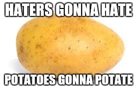 Potato | HATERS GONNA HATE; POTATOES GONNA POTATE | image tagged in potato | made w/ Imgflip meme maker