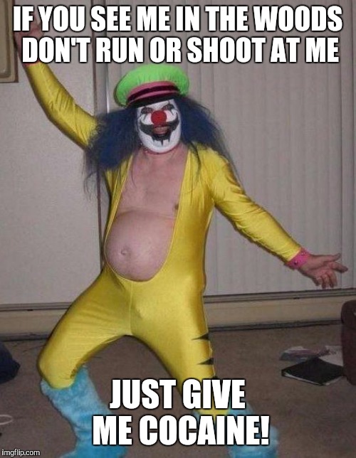 Don't be afraid of rock and roll clowns |  IF YOU SEE ME IN THE WOODS DON'T RUN OR SHOOT AT ME; JUST GIVE ME COCAINE! | image tagged in clown,memes,metalocalypse | made w/ Imgflip meme maker