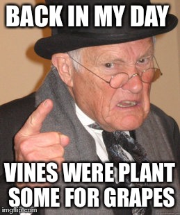 Back In My Day | BACK IN MY DAY; VINES WERE PLANT SOME FOR GRAPES | image tagged in memes,back in my day | made w/ Imgflip meme maker