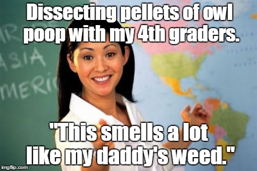 Unhelpful High School Teacher | Dissecting pellets of owl poop with my 4th graders. "This smells a lot like my daddy's weed." | image tagged in memes,unhelpful high school teacher | made w/ Imgflip meme maker