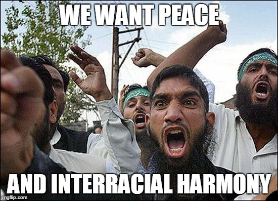 Muslim rage boy |  WE WANT PEACE; AND INTERRACIAL HARMONY | image tagged in muslim rage boy | made w/ Imgflip meme maker