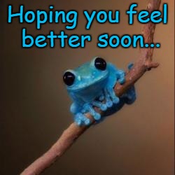 Fun Fact Frog | Hoping you feel better soon... | image tagged in fun fact frog | made w/ Imgflip meme maker
