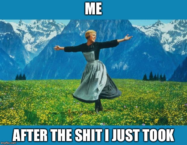 the sound of music happiness | ME; AFTER THE SHIT I JUST TOOK | image tagged in the sound of music happiness | made w/ Imgflip meme maker