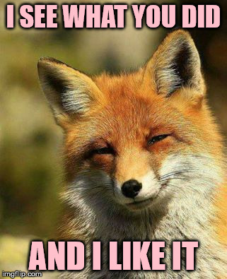 I SEE WHAT YOU DID AND I LIKE IT  | I SEE WHAT YOU DID; AND I LIKE IT | image tagged in fox meme see like | made w/ Imgflip meme maker