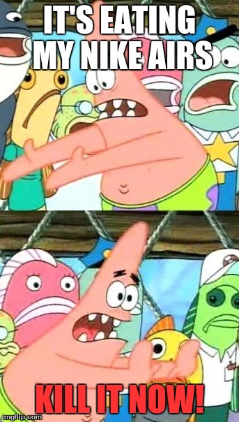 Put It Somewhere Else Patrick Meme | IT'S EATING MY NIKE AIRS; KILL IT NOW! | image tagged in memes,put it somewhere else patrick | made w/ Imgflip meme maker