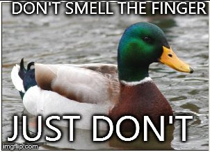Actual Advice Mallard | image tagged in memes,actual advice mallard | made w/ Imgflip meme maker