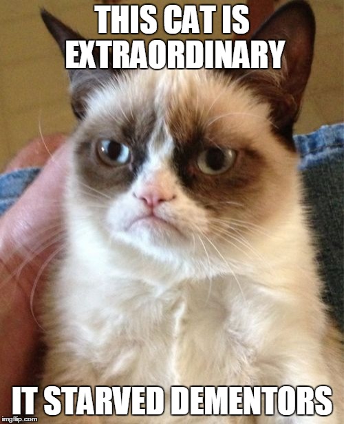 Grumpy Cat | THIS CAT IS EXTRAORDINARY; IT STARVED DEMENTORS | image tagged in memes,grumpy cat | made w/ Imgflip meme maker