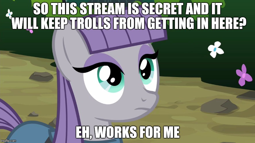 Maud Pie - MLP |  SO THIS STREAM IS SECRET AND IT WILL KEEP TROLLS FROM GETTING IN HERE? EH, WORKS FOR ME | image tagged in maud pie - mlp | made w/ Imgflip meme maker