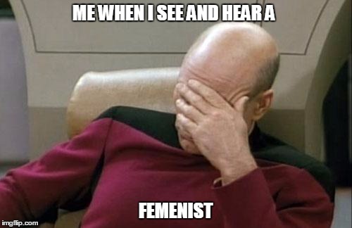 Captain Picard Facepalm Meme | ME WHEN I SEE AND HEAR A; FEMENIST | image tagged in memes,captain picard facepalm | made w/ Imgflip meme maker