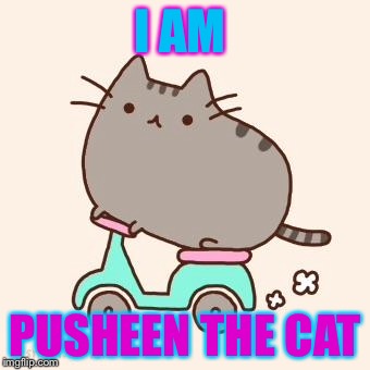 Pusheen Scooter | I AM; PUSHEEN THE CAT | image tagged in pusheen scooter | made w/ Imgflip meme maker