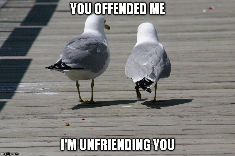 Offended | YOU OFFENDED ME; I'M UNFRIENDING YOU | image tagged in offended | made w/ Imgflip meme maker