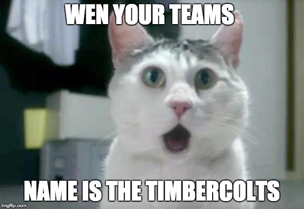 OMG Cat | WEN YOUR TEAMS; NAME IS THE TIMBERCOLTS | image tagged in memes,omg cat | made w/ Imgflip meme maker